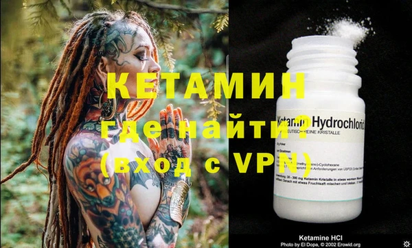 PSILOCYBIN Бородино