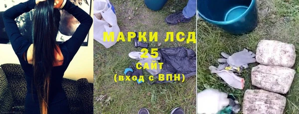 крисы Верея