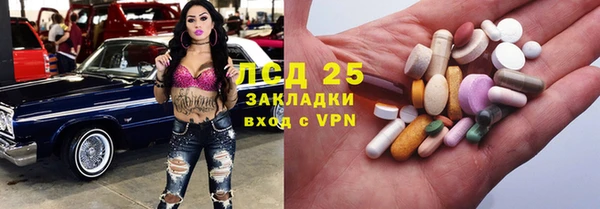 PSILOCYBIN Бородино